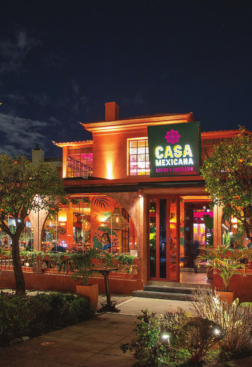 Casa Mexicana, Dimitra Koutoulogenni